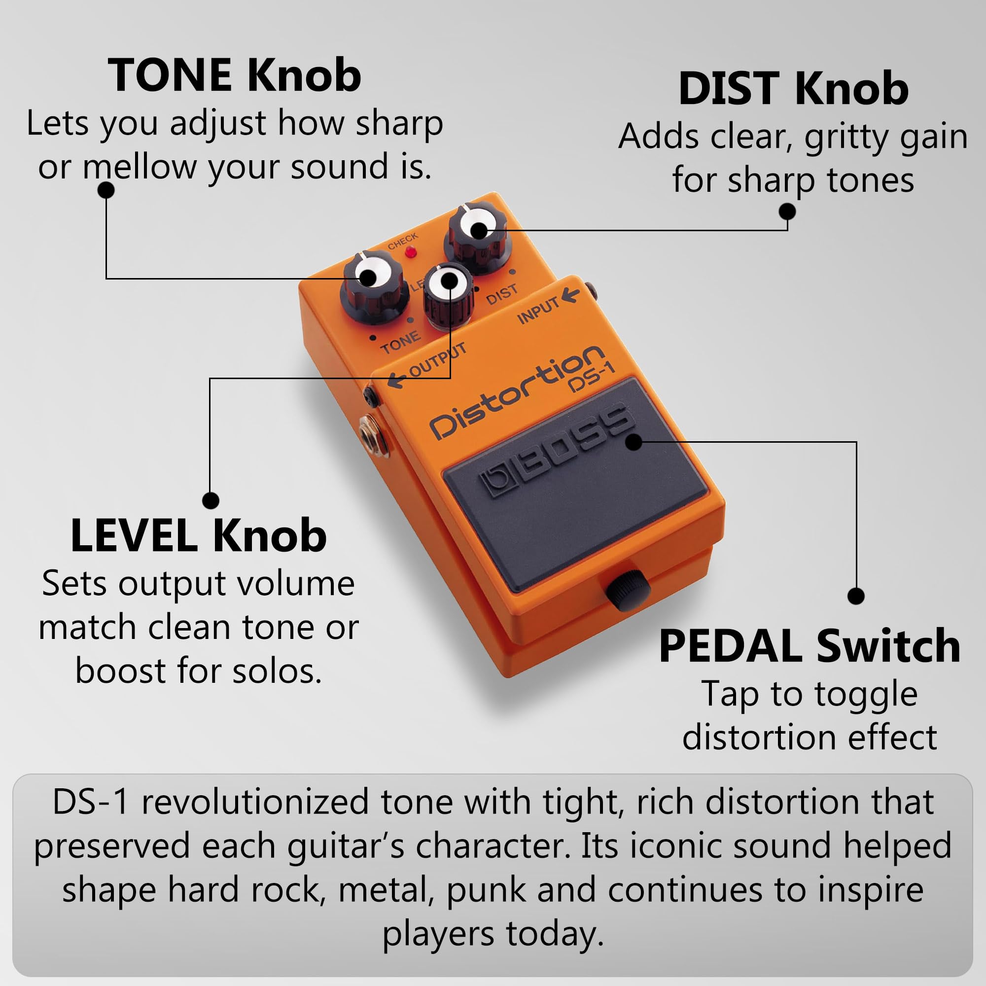 Amazon.com: Boss DS-1 Distortion Bundle with Gearlux